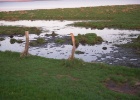 Picture 019